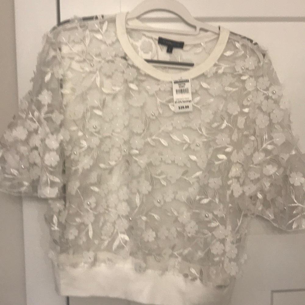 Brand Bell Sleeve Sheer Top